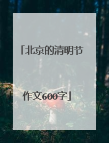 北京的清明节作文600字