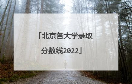 北京各大学录取分数线2022