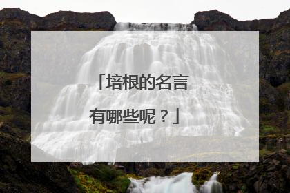 培根的名言有哪些呢？