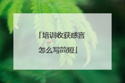 培训收获感言怎么写简短