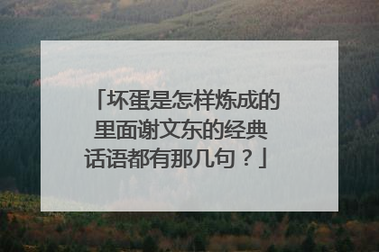 坏蛋是怎样炼成的 里面谢文东的经典话语都有那几句？