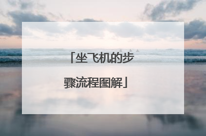 坐飞机的步骤流程图解