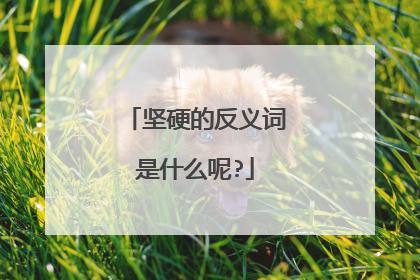 坚硬的反义词是什么呢?