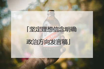 坚定理想信念明确政治方向发言稿