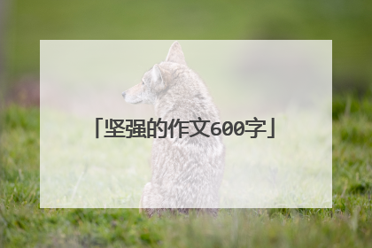 坚强的作文600字