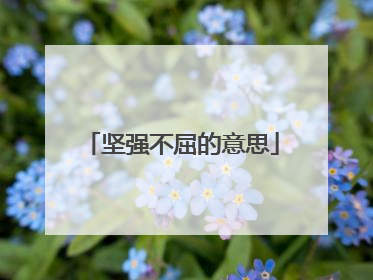 坚强不屈的意思