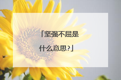 坚强不屈是什么意思?