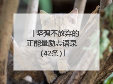 坚强不放弃的正能量励志语录(42条)