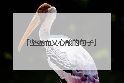 坚强而又心酸的句子