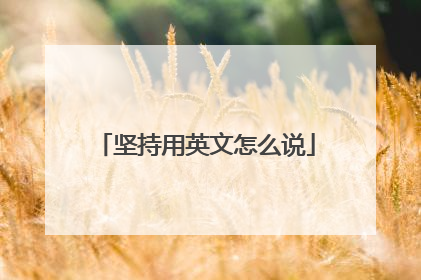坚持用英文怎么说