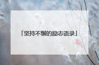 坚持不懈的励志语录