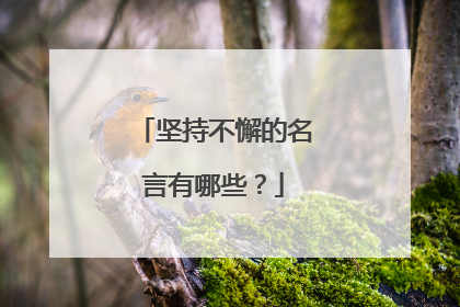 坚持不懈的名言有哪些?