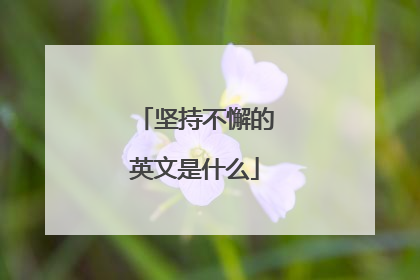 坚持不懈的英文是什么