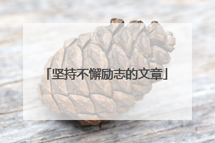 坚持不懈励志的文章