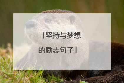 坚持与梦想的励志句子
