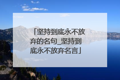 坚持到底永不放弃的名句_坚持到底永不放弃名言