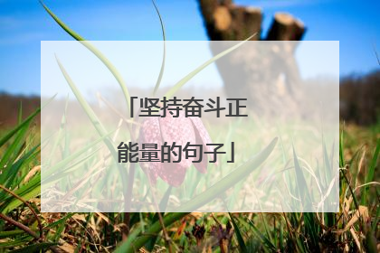 坚持奋斗正能量的句子