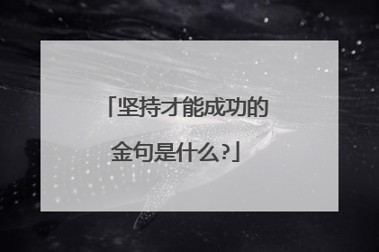 坚持才能成功的金句是什么?