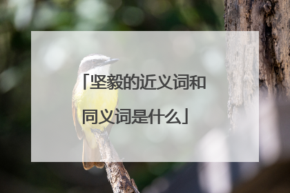 坚毅的近义词和同义词是什么