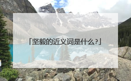 坚毅的近义词是什么?