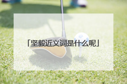 坚毅近义词是什么呢