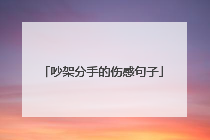 吵架分手的伤感句子
