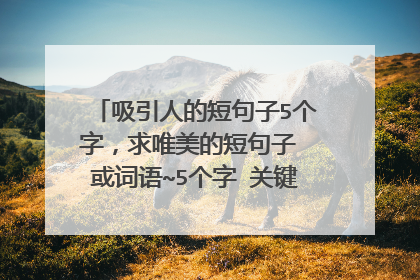 吸引人的短句子5个字，求唯美的短句子 或词语~5个字 关键词 生日 唯