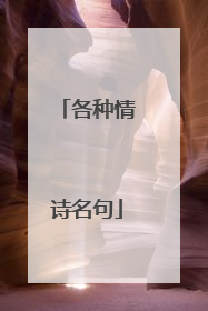 各种情诗名句