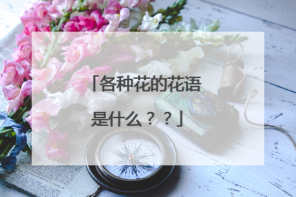 各种花的花语是什么？？