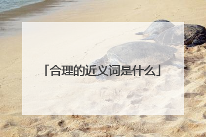 合理的近义词是什么