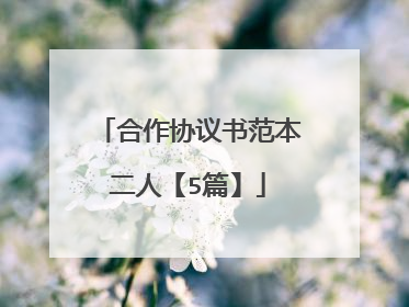 合作协议书范本二人【5篇】