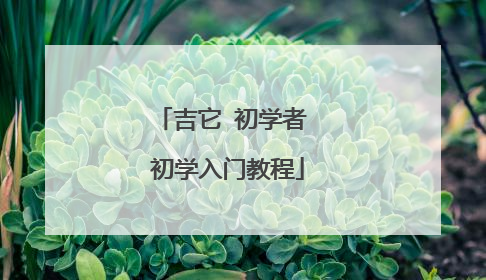 吉它 初学者 初学入门教程
