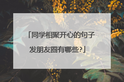 同学相聚开心的句子发朋友圈有哪些?