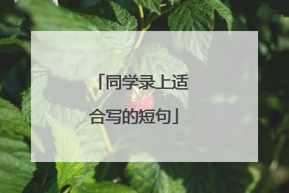 同学录上适合写的短句