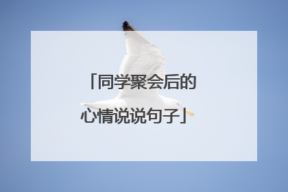 同学聚会后的心情说说句子