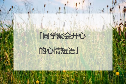 同学聚会开心的心情短语