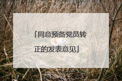 同意预备党员转正的发表意见
