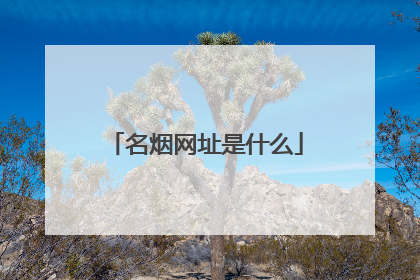 名烟网址是什么