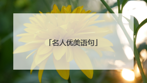 名人优美语句