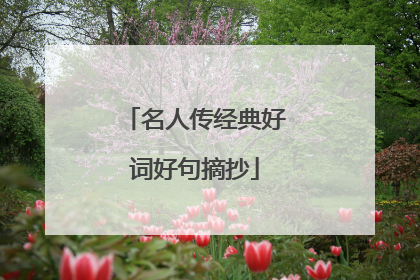名人传经典好词好句摘抄