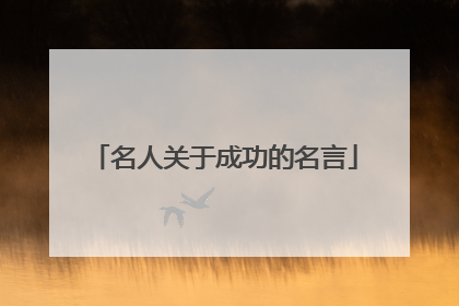 名人关于成功的名言