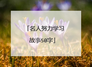 名人努力学习故事50字