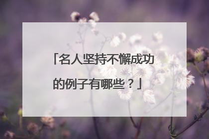 名人坚持不懈成功的例子有哪些？