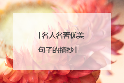 名人名著优美句子的摘抄