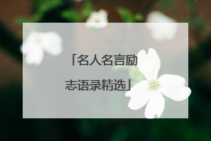 名人名言励志语录精选