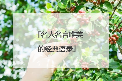 名人名言唯美的经典语录