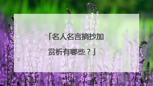 名人名言摘抄加赏析有哪些？