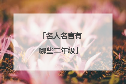 名人名言有哪些二年级