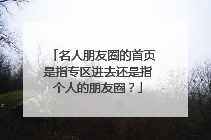 名人朋友圈的首页是指专区进去还是指个人的朋友圈？