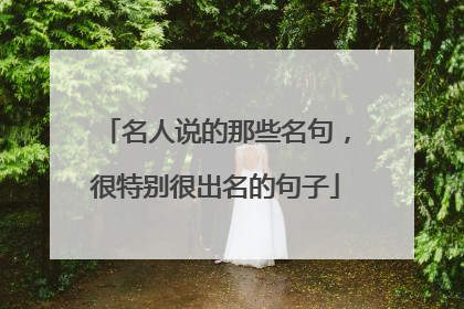 名人说的那些名句,很特别很出名的句子